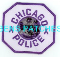 ILLINOIS,CHICAGO POLICE DOMESTIC VIOLENCE 1